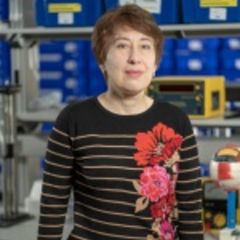 Ильина Елена